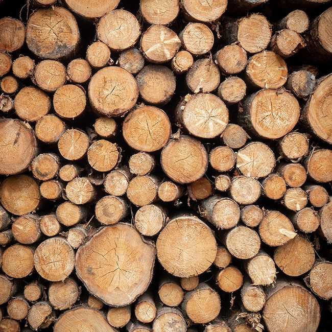 a pile of logs